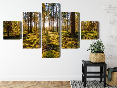 Ljuddämpande tavla - 3d sunny forest landscape