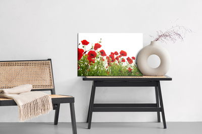 Ljuddämpande tavla - Red poppies on a white