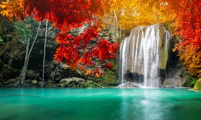 Ljuddämpande tavla - Cascade in the autumn forest