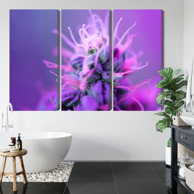 Ljuddämpande tavla - Macro plant on a pink-purple