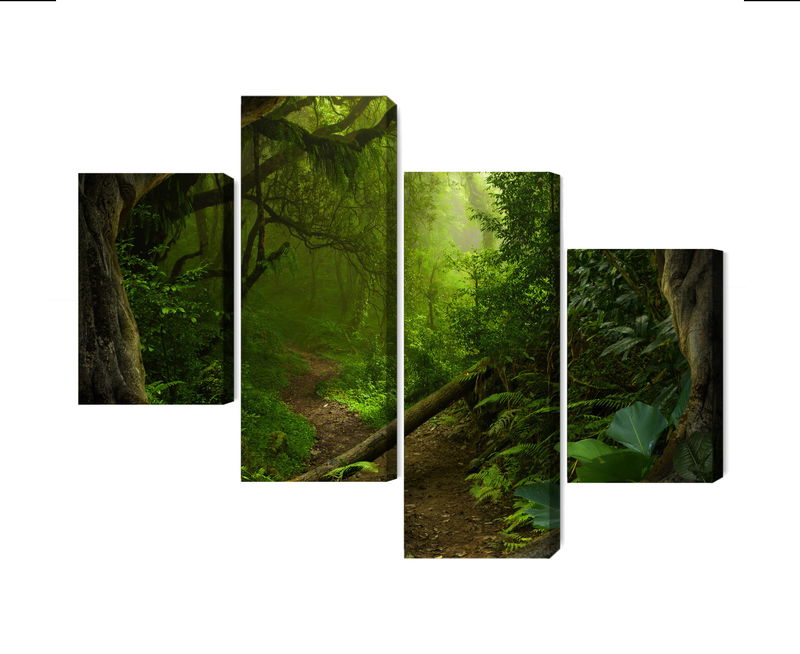 Ljuddämpande tavla - Path in the tropical forest