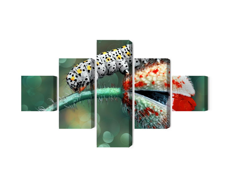 Ljuddämpande tavla - A caterpillar and a ladybug