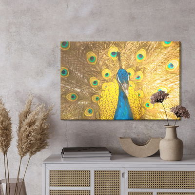 Ljuddämpande tavla - Beautiful colorful peacock