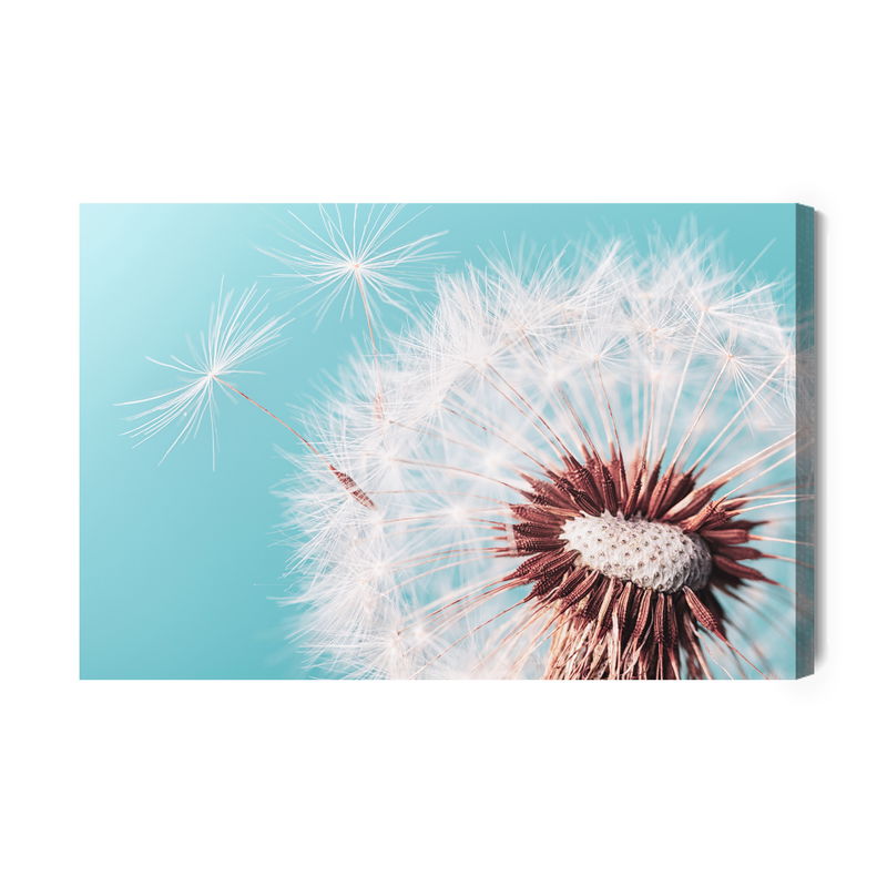 Ljuddämpande tavla - Beautiful dandelion