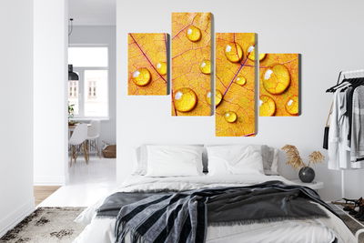 Ljuddämpande tavla - Water drops on an autumn