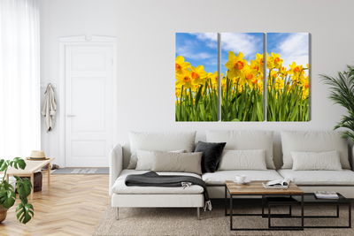 Ljuddämpande tavla - Daffodil field 3d