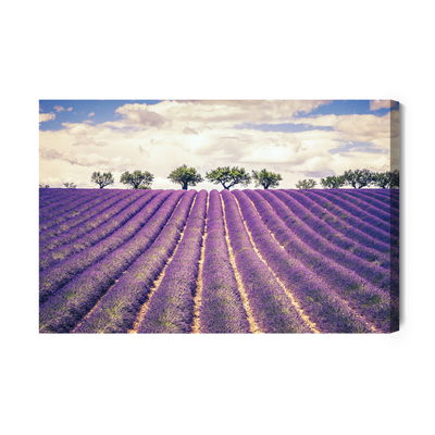 Ljuddämpande tavla - Lavender field