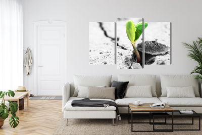 Ljuddämpande tavla - 3d plant sprouting