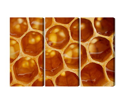 Ljuddämpande tavla - Honeycomb in macro scale