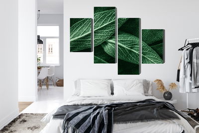 Ljuddämpande tavla - Salvia leaves on a macro