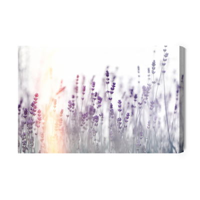 Ljuddämpande tavla - Lavender at sunset