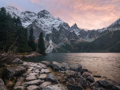 Ljuddämpande tavla - Lake and forest