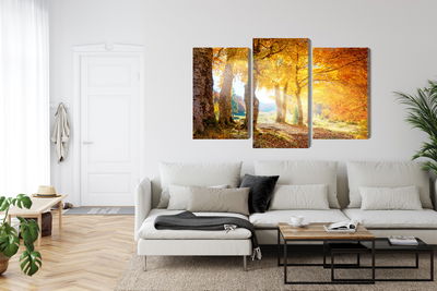 Ljuddämpande tavla - Sunny autumn forest