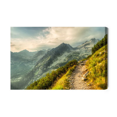 Ljuddämpande tavla - The path in the mountains