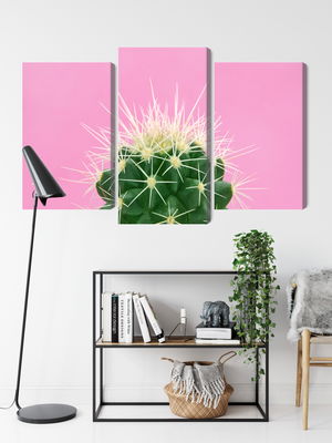 Ljuddämpande tavla - Cactus on a pink background