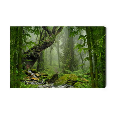 Ljuddämpande tavla - Tropical jungle