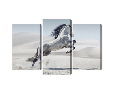 Ljuddämpande tavla - Horse in the desert 3d