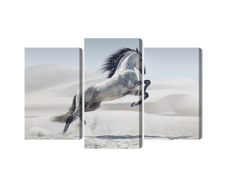 Ljuddämpande tavla - Horse in the desert 3d