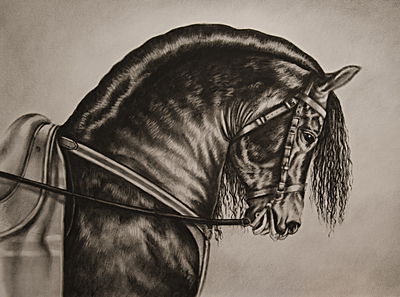 Ljuddämpande tavla - Sketched horse