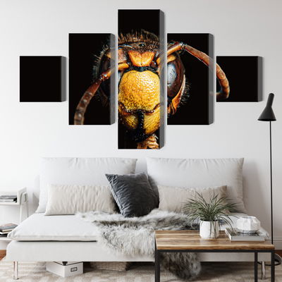 Ljuddämpande tavla - Hornet on a macro scale