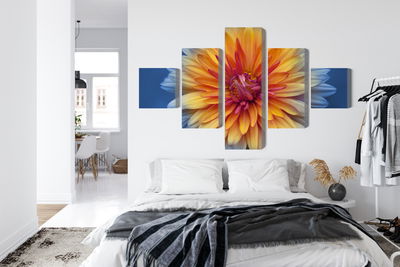 Ljuddämpande tavla - Chrysanthemum flower close