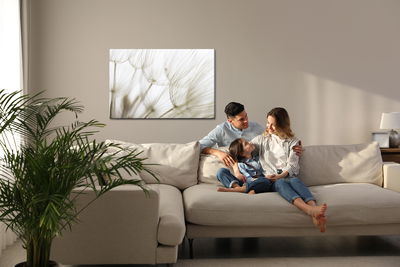 Ljuddämpande tavla - Dandelion seeds