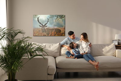 Ljuddämpande tavla - A magnificent stag