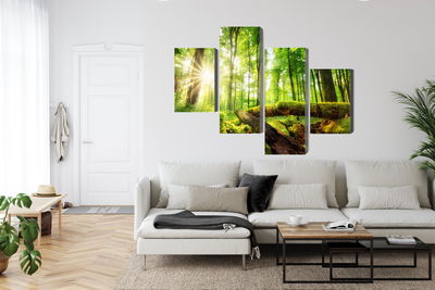 Ljuddämpande tavla - Sunrays in a forest 3d