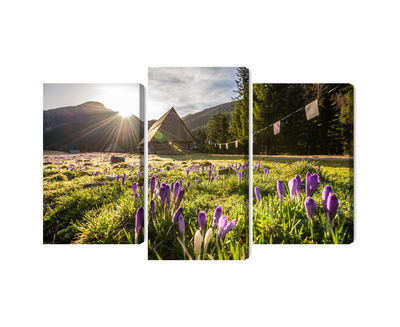 Ljuddämpande tavla - Chocholowska valley