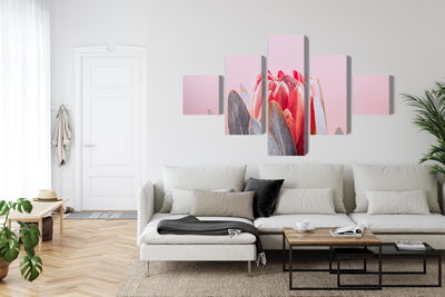 Ljuddämpande tavla - Flower of the royal protéa