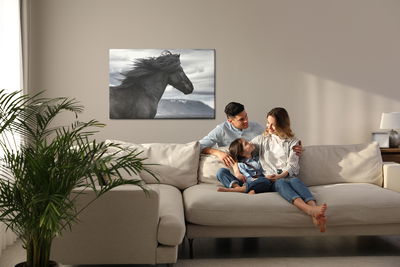 Ljuddämpande tavla - Black horse on a background