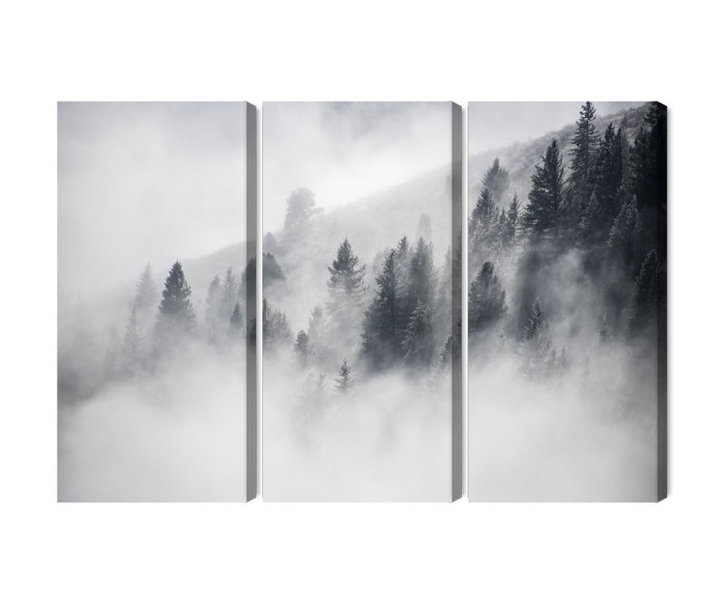 Ljuddämpande tavla - The forest is shrouded in fog