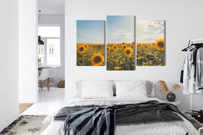 Ljuddämpande tavla - Sunflower field on a summer