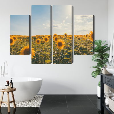 Ljuddämpande tavla - Sunflower field on a summer