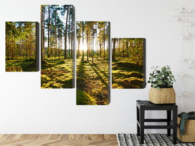 Ljuddämpande tavla - Forest landscape with sunset