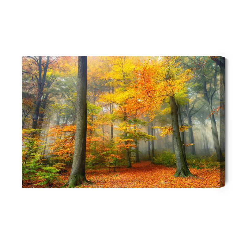 Ljuddämpande tavla - Misty autumn forest