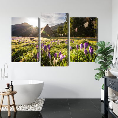 Ljuddämpande tavla - Chocholowska valley