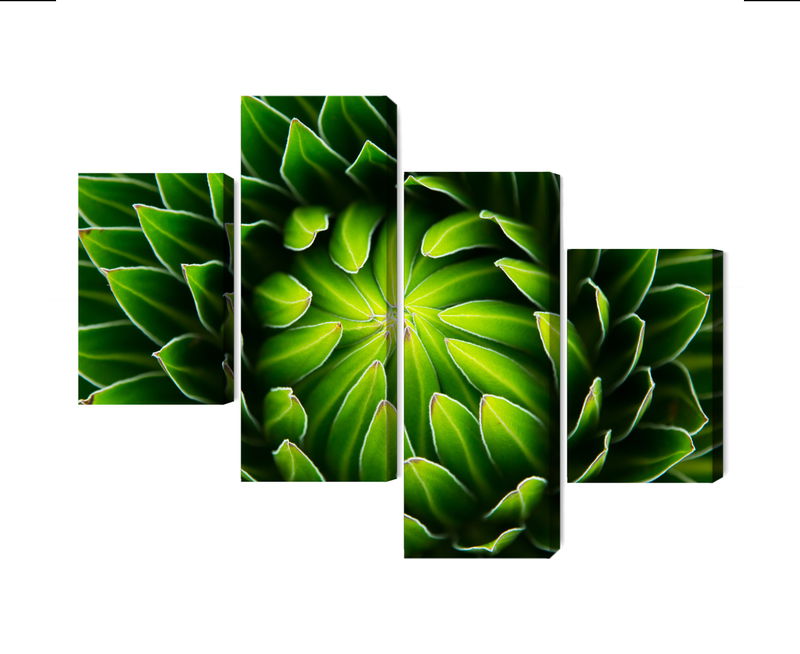 Ljuddämpande tavla - Green plant on a macro scale