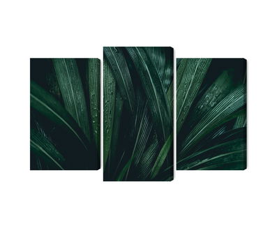 Ljuddämpande tavla - Dark green leaves on a macro