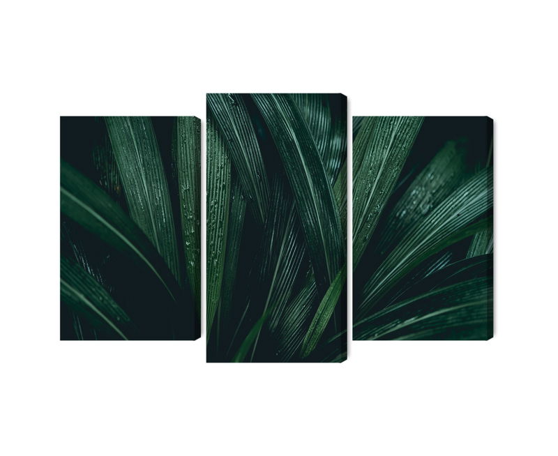 Ljuddämpande tavla - Dark green leaves on a macro