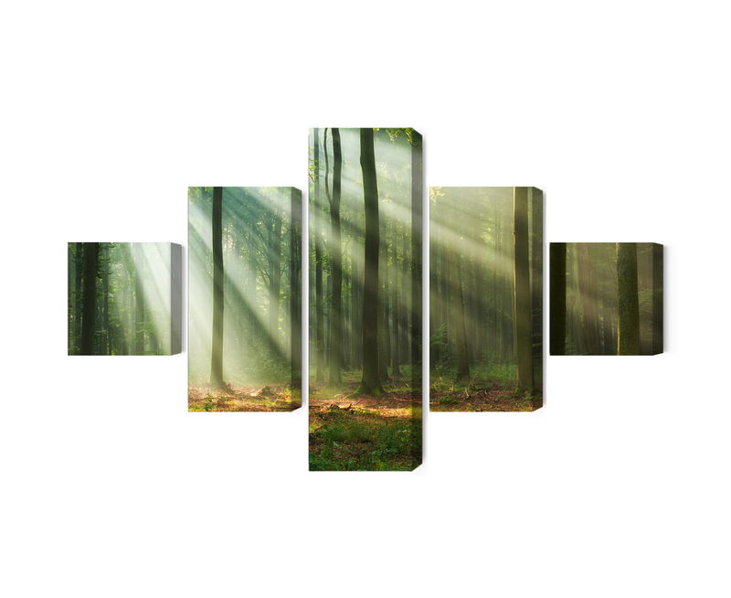 Ljuddämpande tavla - Forest landscape