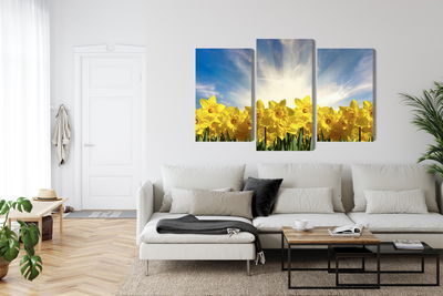 Ljuddämpande tavla - 3d daffodils field