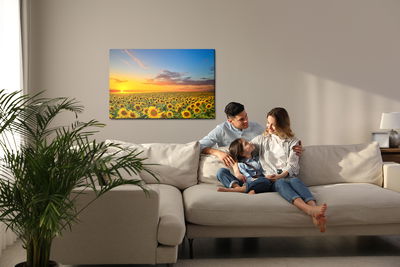 Ljuddämpande tavla - Sunset over a field