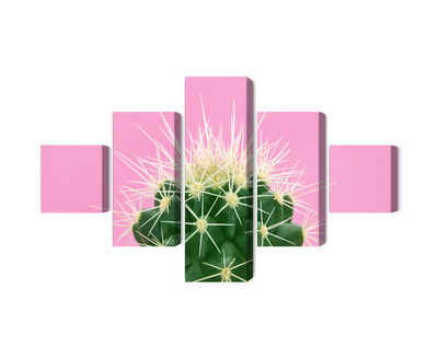 Ljuddämpande tavla - Cactus on a pink background