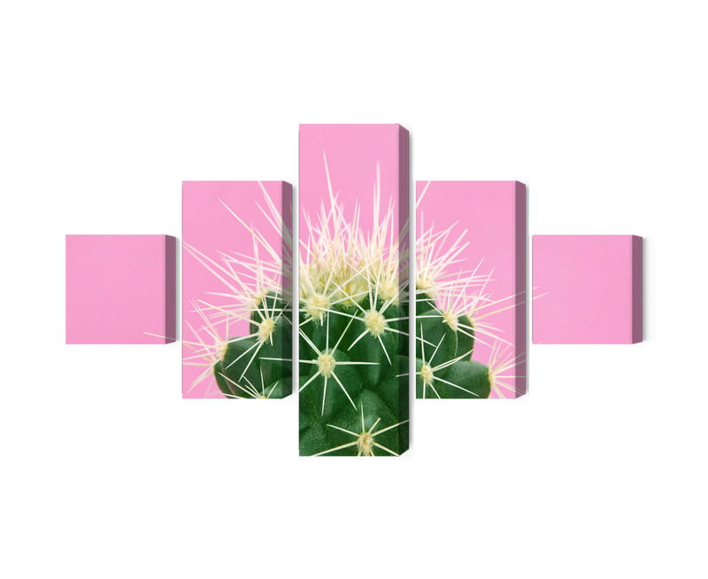 Ljuddämpande tavla - Cactus on a pink background