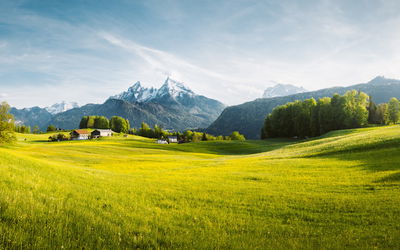 Ljuddämpande tavla - Mountain landscape