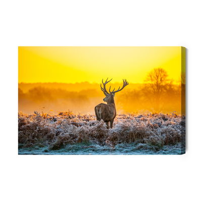 Ljuddämpande tavla - Deer at dawn