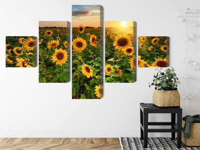 Ljuddämpande tavla - Sunflower field at sunset 3d