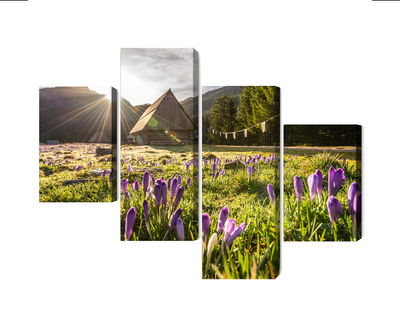 Ljuddämpande tavla - Chocholowska valley