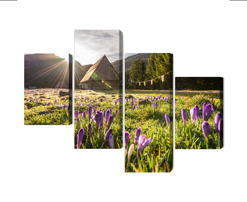 Ljuddämpande tavla - Chocholowska valley